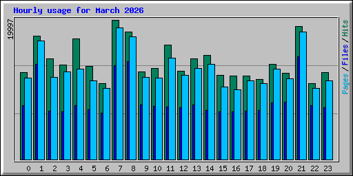 Hourly usage for March 2026