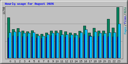 Hourly usage for August 2026
