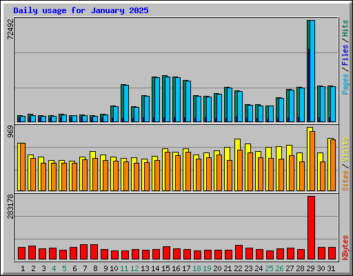 Daily usage for January 2025
