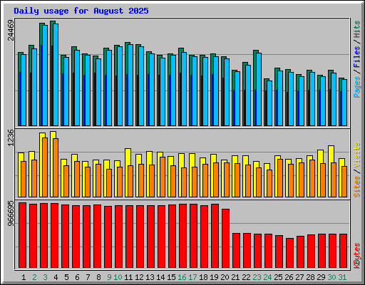 Daily usage for August 2025