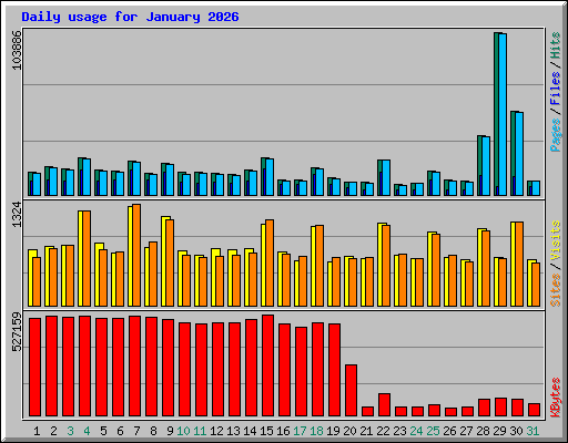 Daily usage for January 2026