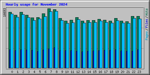 Hourly usage for November 2024