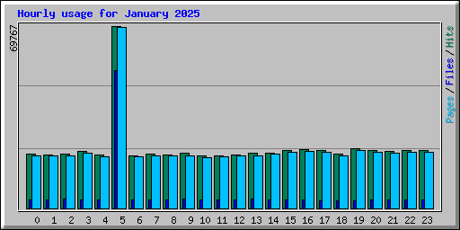Hourly usage for January 2025