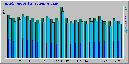 Hourly usage for February 2025
