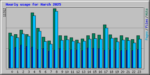 Hourly usage for March 2025