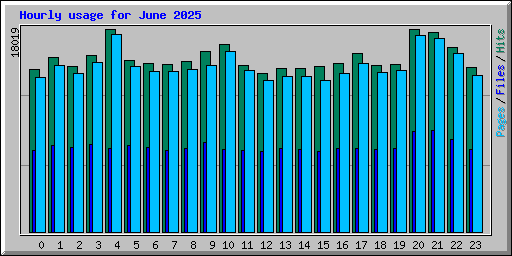 Hourly usage for June 2025