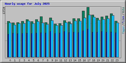 Hourly usage for July 2025