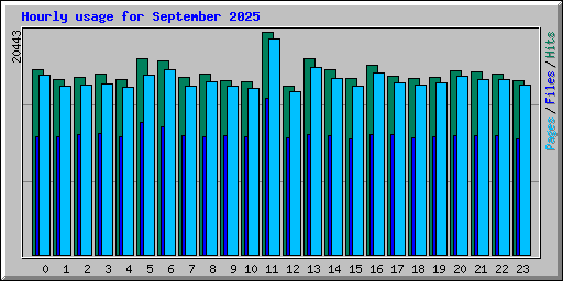 Hourly usage for September 2025