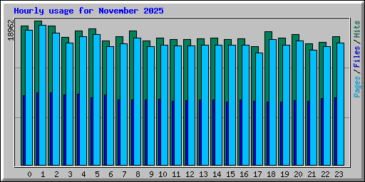 Hourly usage for November 2025