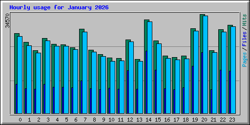 Hourly usage for January 2026